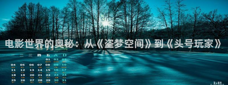 秋霞电影网视频在线观看
