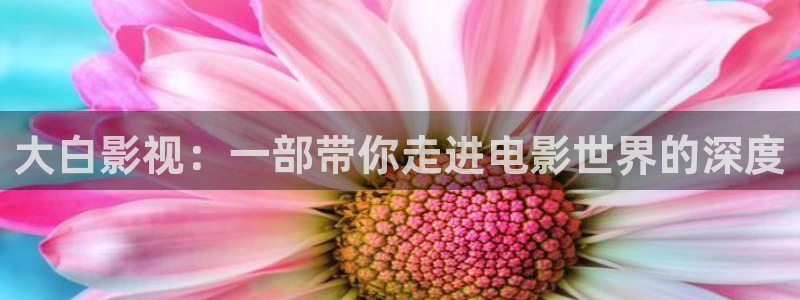 秋霞影视网在线