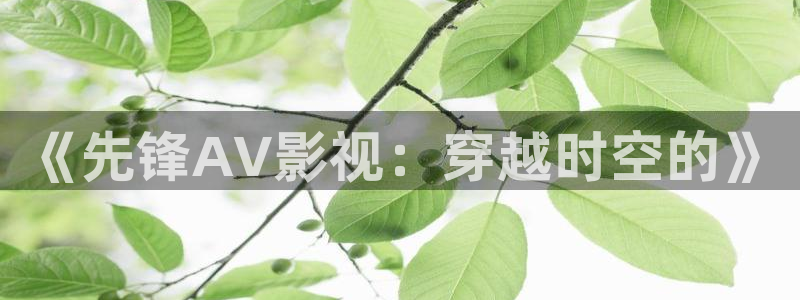 秋霞电影网国产精品