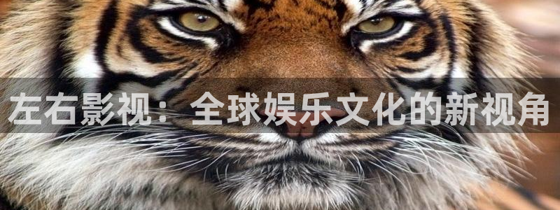 三级秋霞网
