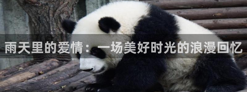 秋霞电影网国产福利片