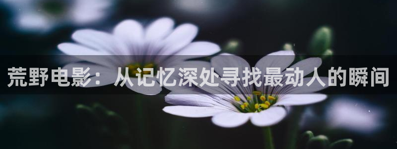 秋霞土鳖影视