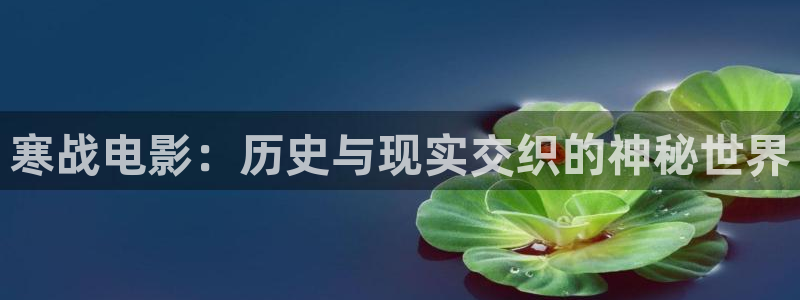 秋霞电影网污