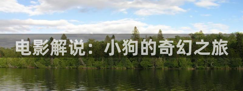 秋霞免费电影观看