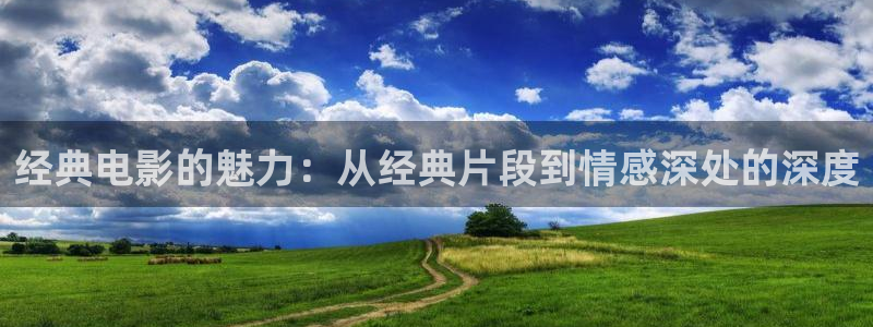 秋霞电影在线网
