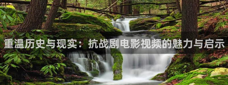 秋霞网手机在线