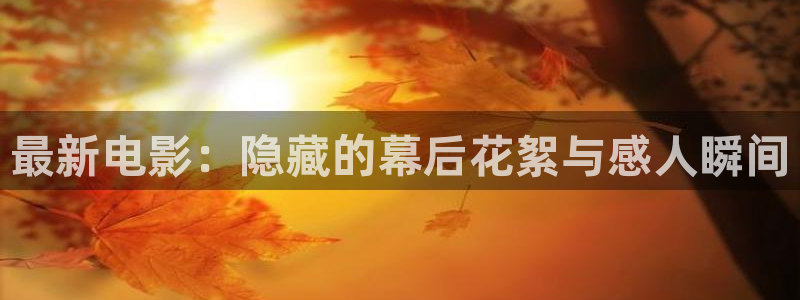 新闻图片