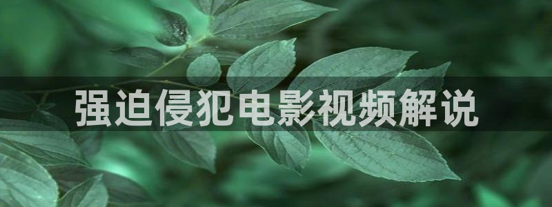 秋霞伦理网电影