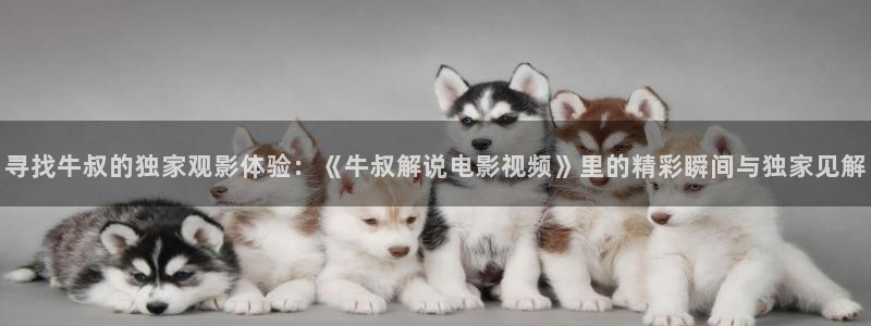 秋霞影院手机版
