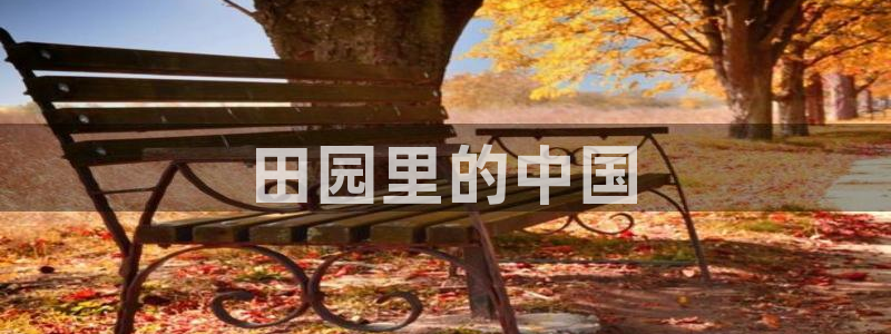 秋霞网国产理论