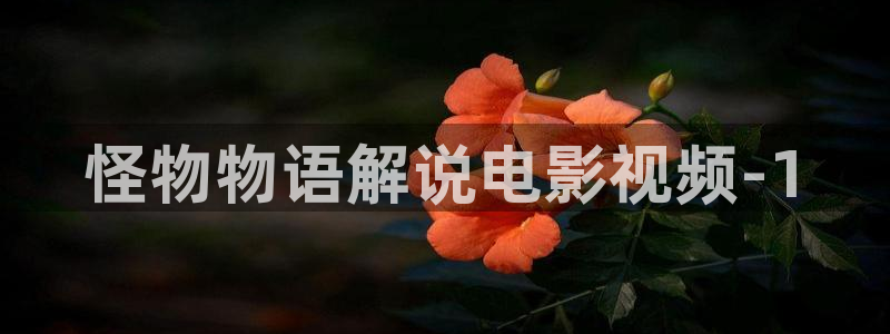新秋霞网