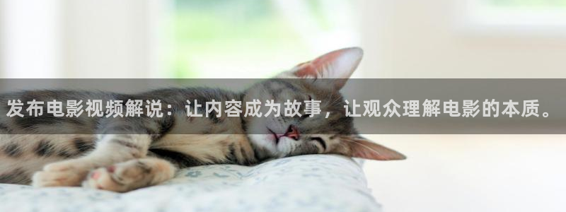 秋霞网页