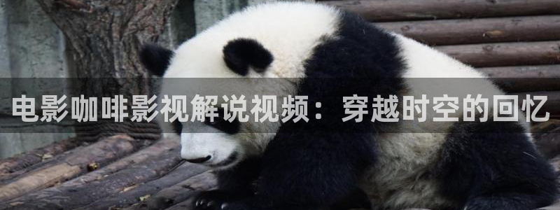 秋霞电影网从