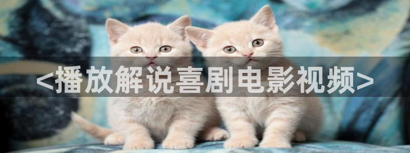 新闻图片